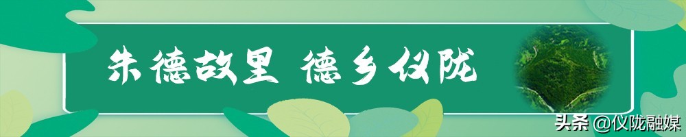 乡镇党建引领促改革提效能惠民生,为我县改革发展点赞