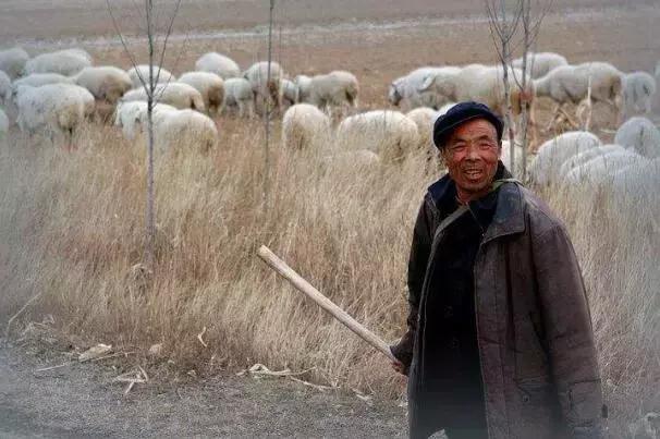 靖远职专简介,靖远职中简介