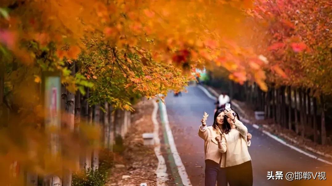 不止一面涡阳,不止一面原图