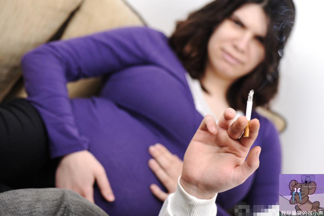 职场中的防不胜防,职场女性如何规避二手烟