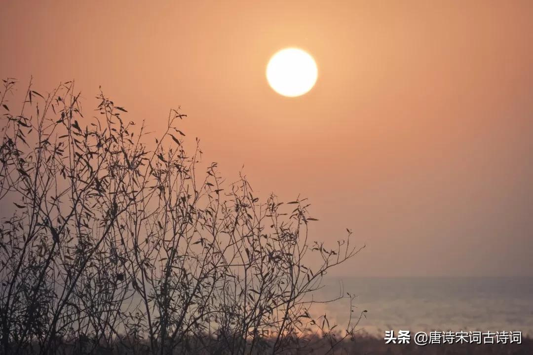 30句令人赏心悦目的古诗词,40句令人惊艳的诗