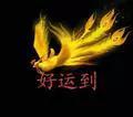 《赞竹》,散文秦兴/文