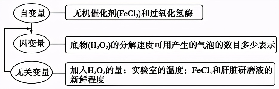 高中生物实验及其作用总结,高中生物实验要点归纳图