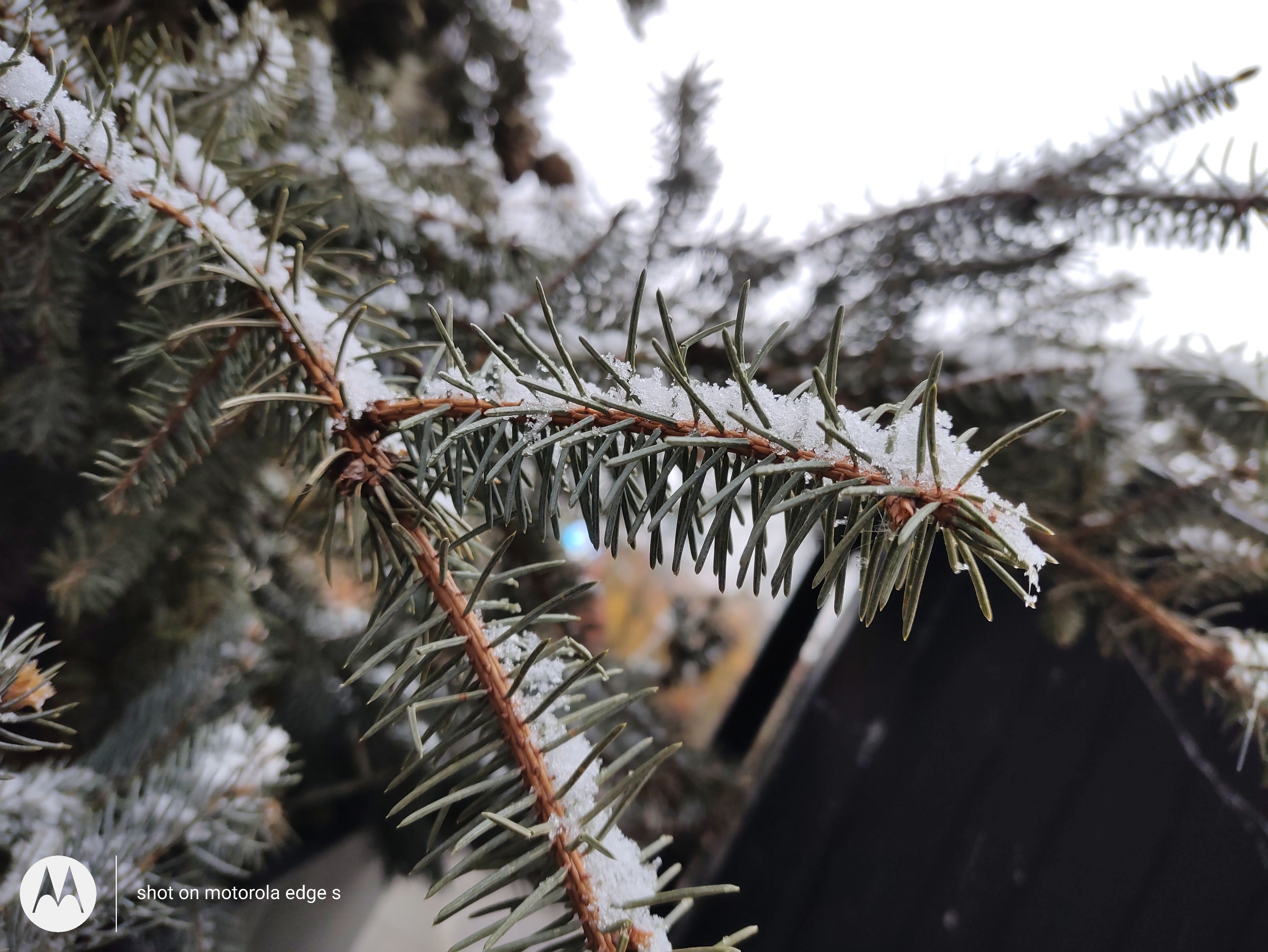 motorolaedges2022,motorolaedges30屏幕评测