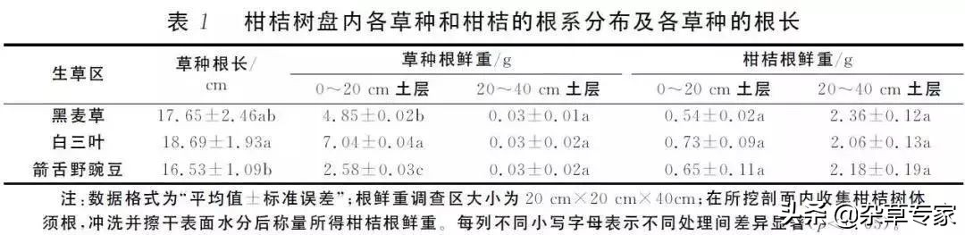 柑橘园生草用什么草种最好,三月桔园适合种什么草