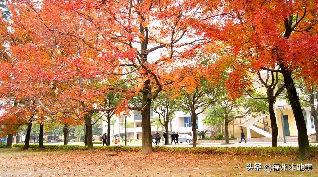 福州大学创造奇迹,福州大学国家一流学府
