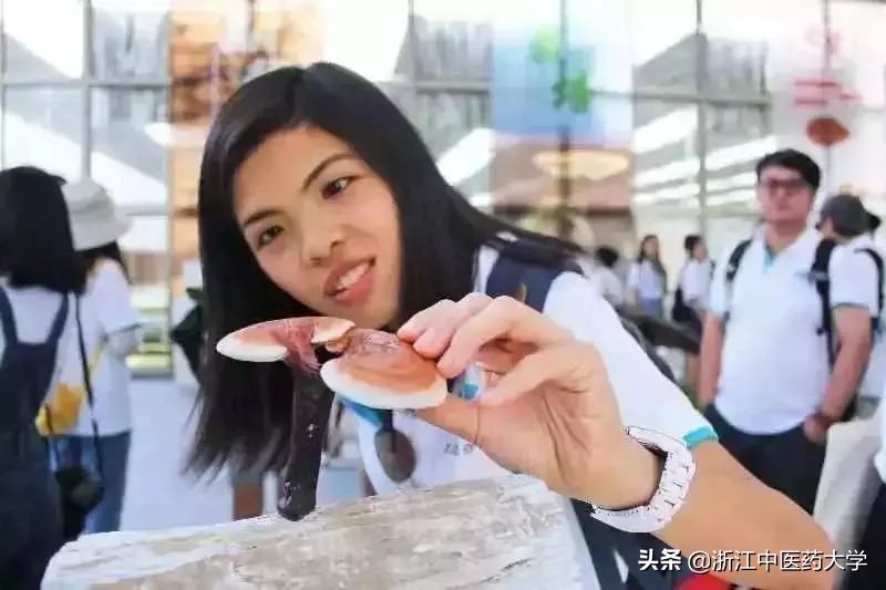 高校三下乡社会实践优秀个人材料,三下乡社会实践活动荣获奖项