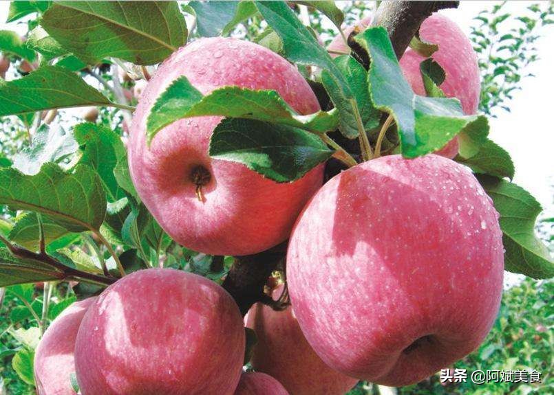 去*疆新**旅游，建议尝尝这5种特有的“水果”，好吃营养还不贵
