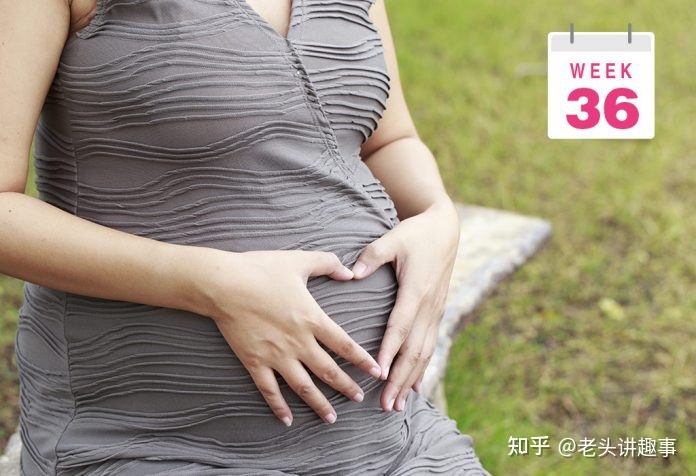 1-40周胎儿发育视频3d,胎儿1-40周发育全过程图解