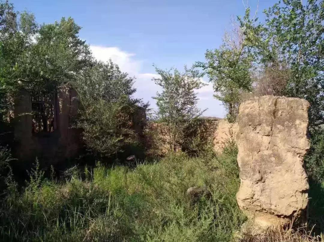 【本土】黄黑绿：印象三色准格尔旗“羊塔市”