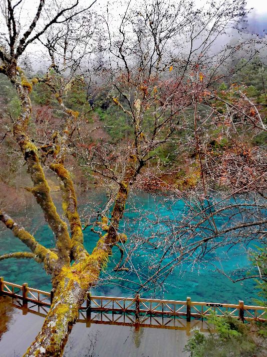 九寨沟一日游感悟,九寨沟和黄龙旅行美景