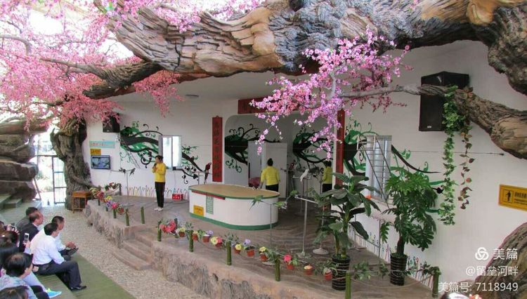 秦皇岛山海关游记,秦皇岛东山游记