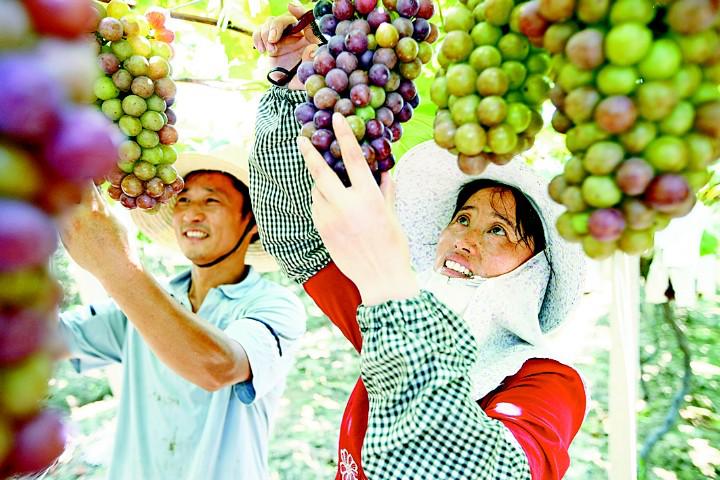 安徽当涂县百强县排名,当涂县五年规划