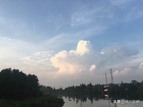 意外的大物鱼情狂切子线最后我用这种方法成功搏大物