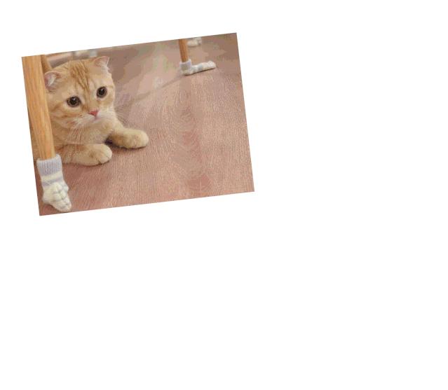 十堰市茅箭区赶集时间,十堰茅箭区约会