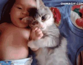 养宠小芝士|怀孕难道不能养猫吗？这里有你想要的答案