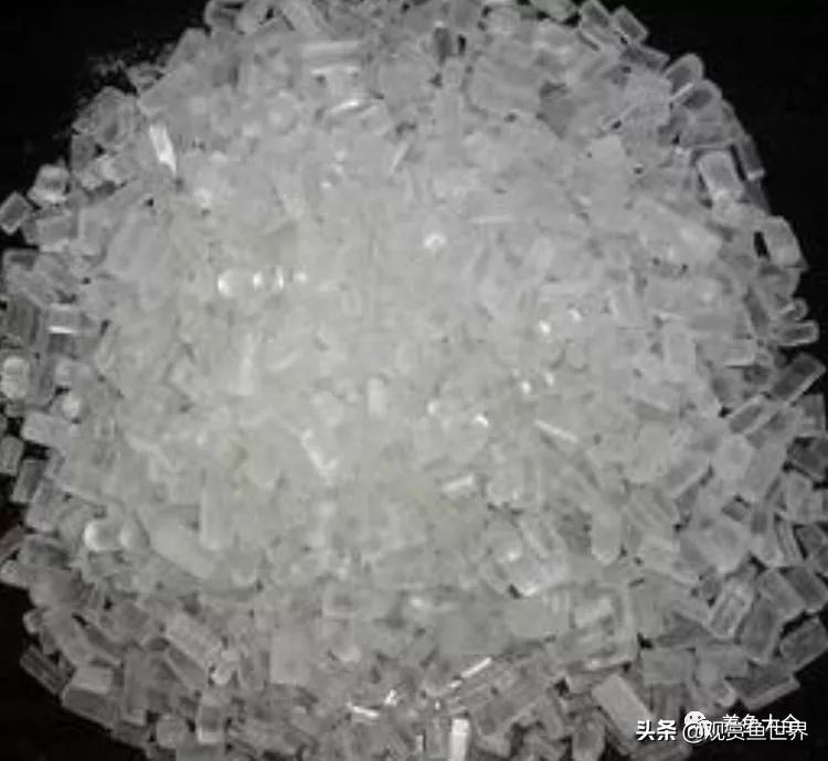 养小型观赏鱼常备药,观赏鱼能用什么药最安全