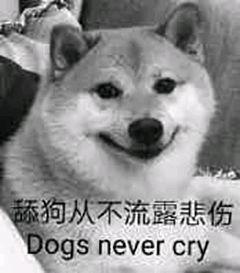 嘴唇护理简单,嘴唇护理润唇