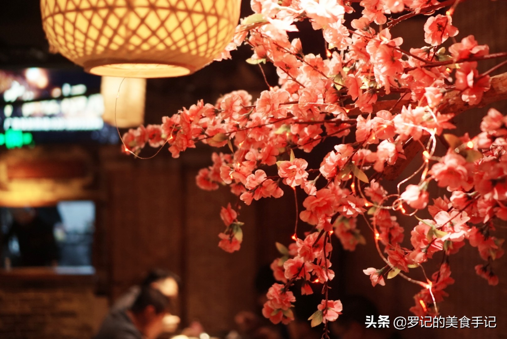 未赏三生三世十里桃花，却走进了这青丘…夜访体育西的这个小酒馆
