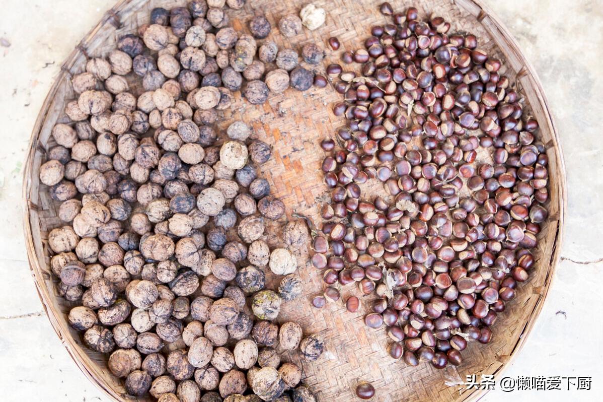 生板栗怎么去皮最快视频,新鲜板栗去皮的方法最快最有效