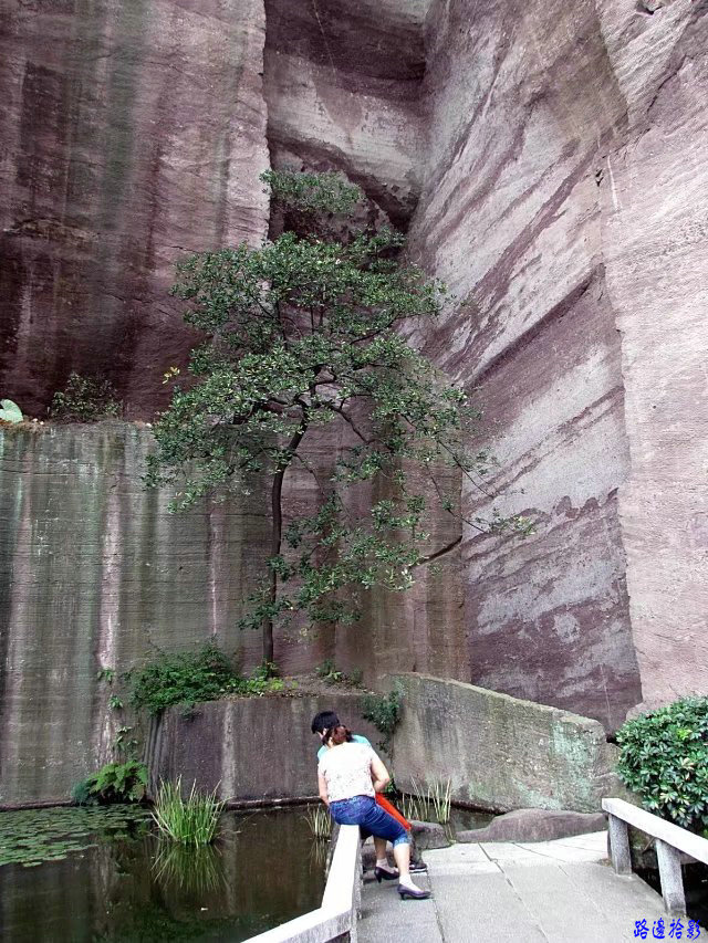 广州莲花山景点,岭南莲花山全景