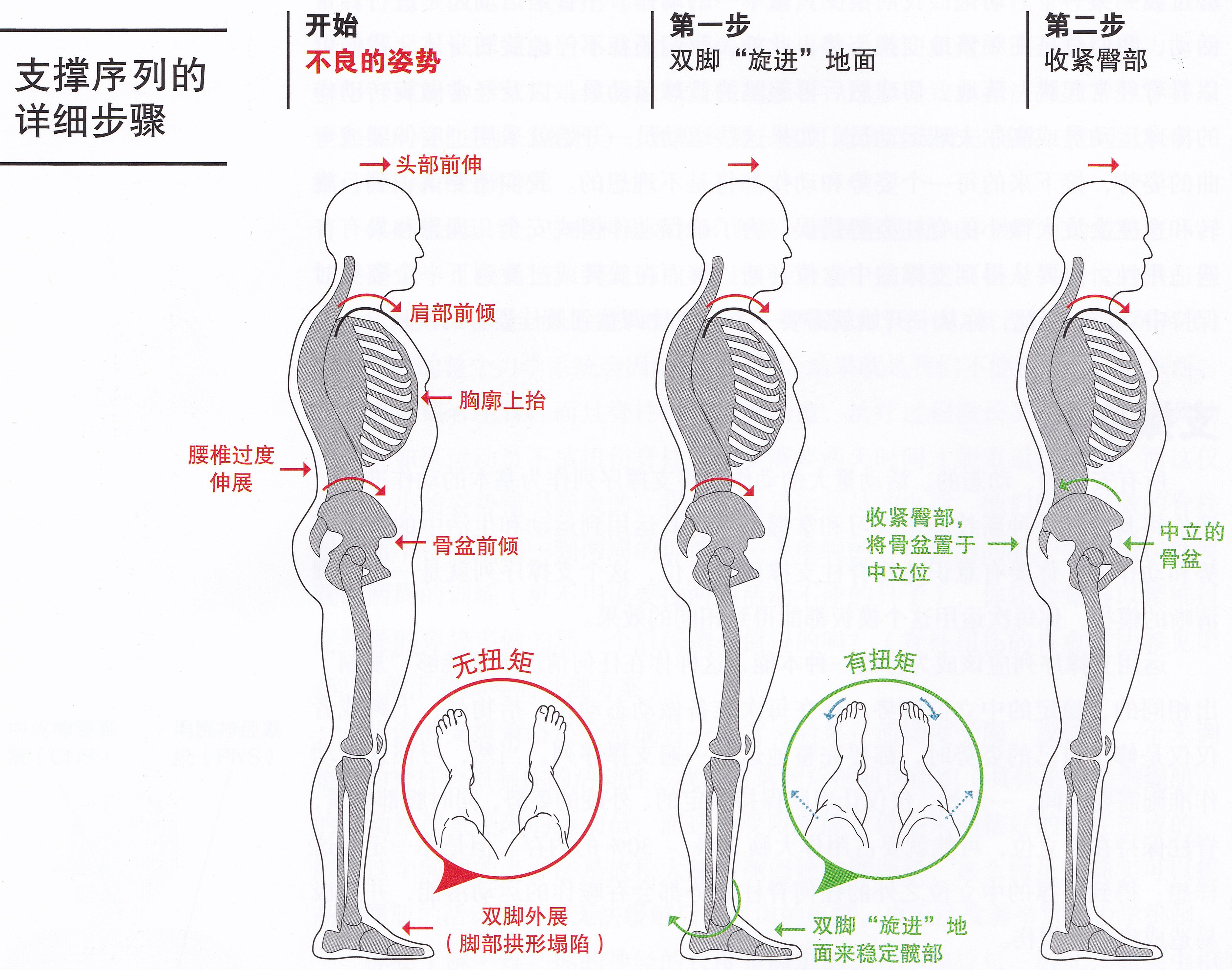 脊柱保持中立位是什么意思,脊柱中立位的标准动作