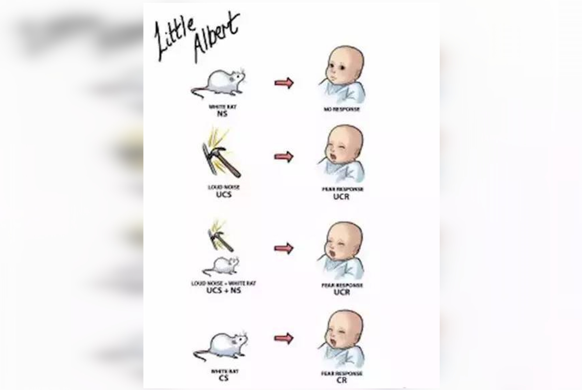 胆小鬼的孩子是什么原因造成的,孩子胆小怕鬼的最佳方法