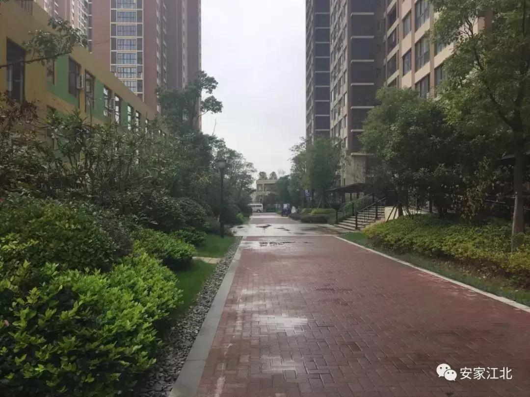 江北烂尾楼最新消息,实拍江北鬼城烂尾楼