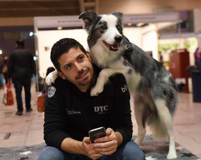 忠诚懂事可爱的狗狗请善待它们,这6种狗狗再爱也别碰会崩溃