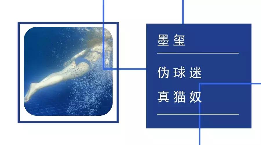 除了学习，做什么都行：快乐分裂鼓手谈朋克的意义