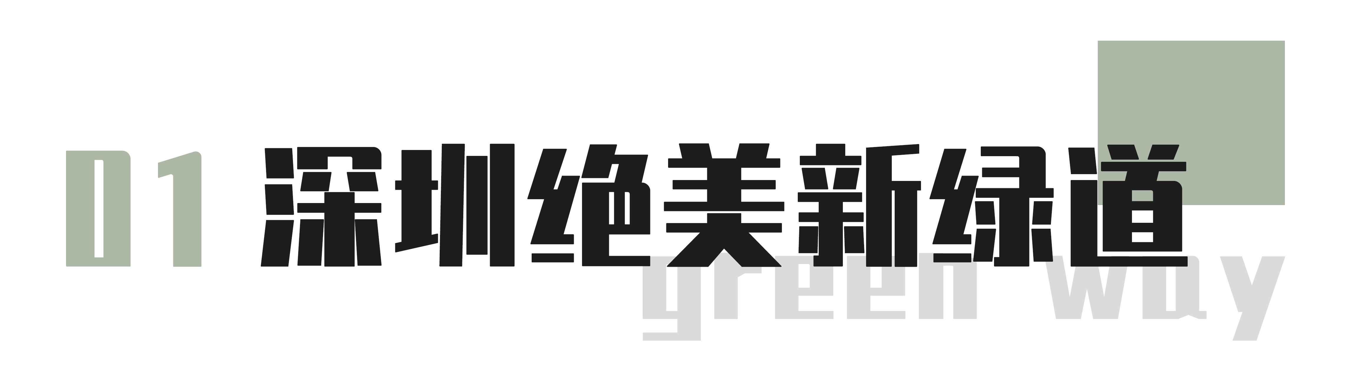 又发现深圳一个“绝美打卡地”！“淘金”绿道，人少免费