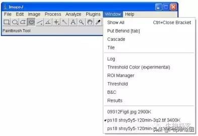 黄色和绿色如何用imagej分析,imagej图像分析教程