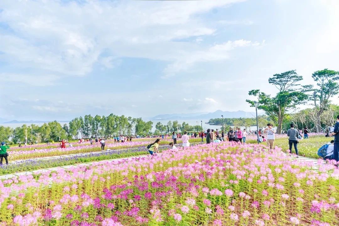深圳二号线沿线有哪些景点游玩,深圳9号线沿途好玩的地方推荐