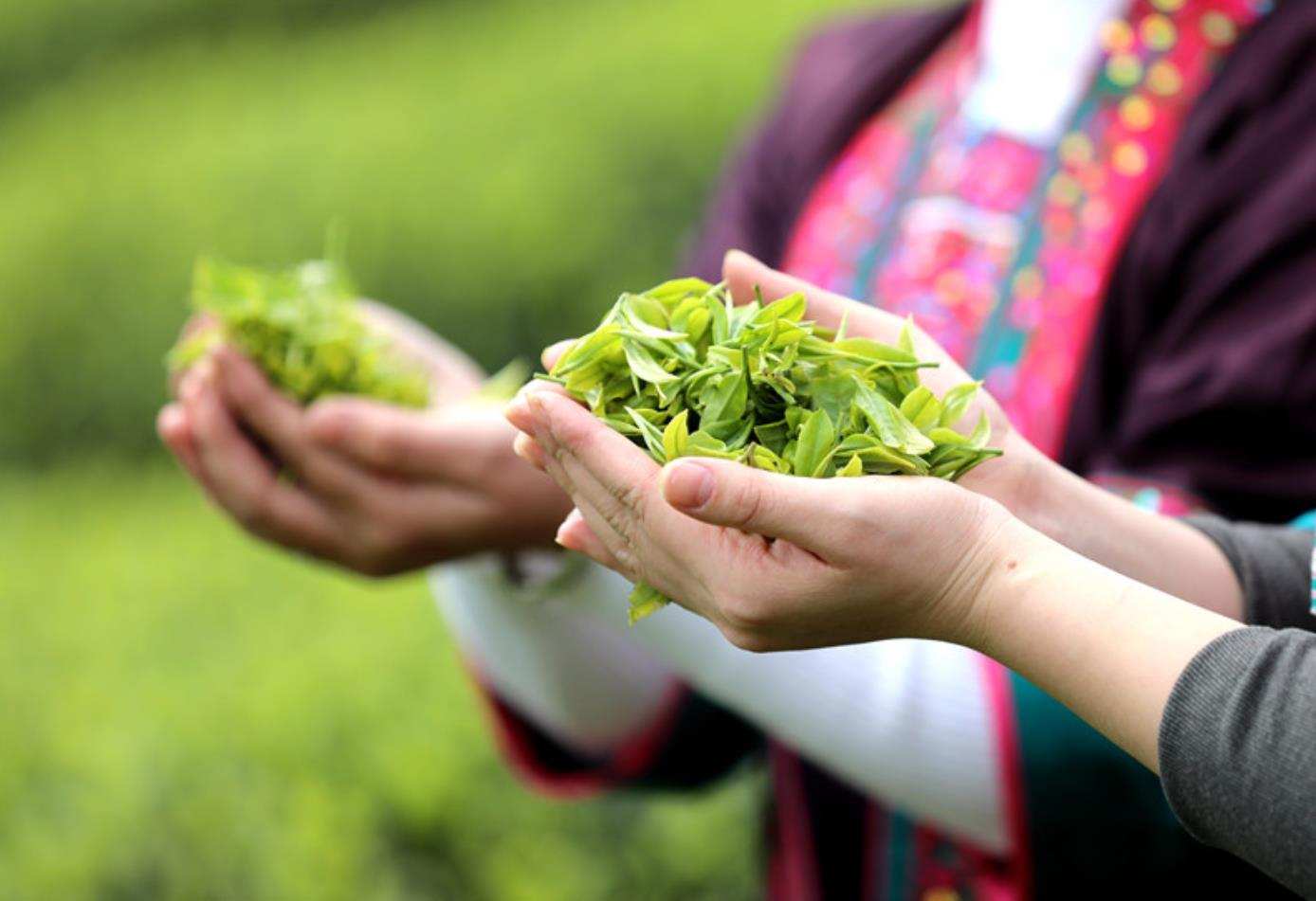 茶行业如何利用好互联网,茶市场互联网化