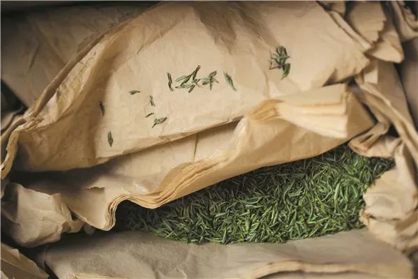 建阳白茶哪个品种最有名,建阳白茶简介资料