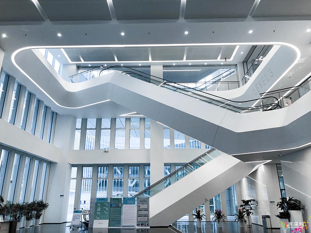 又是看完想去系列！深圳这个高颜值新地标，地铁直达还免费