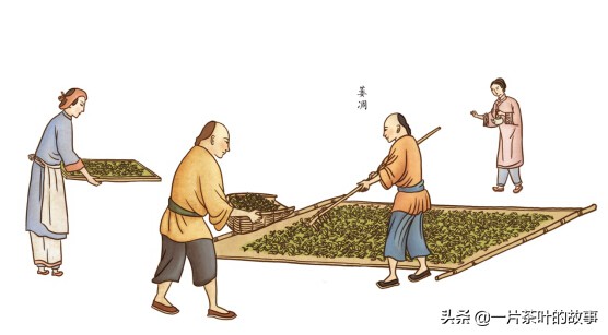 祁门红茶工艺详解,祁门工夫红茶详解