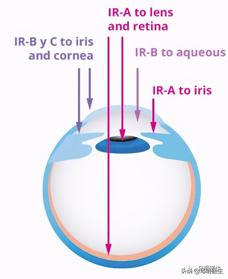 红光治疗对人体有害么,红光治疗对皮肤的危害