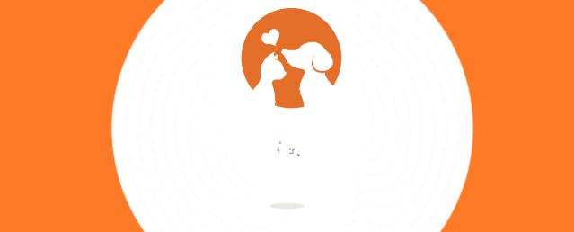 柯基幼犬选择什么狗粮,高性价比狗粮测评狗粮选择攻略