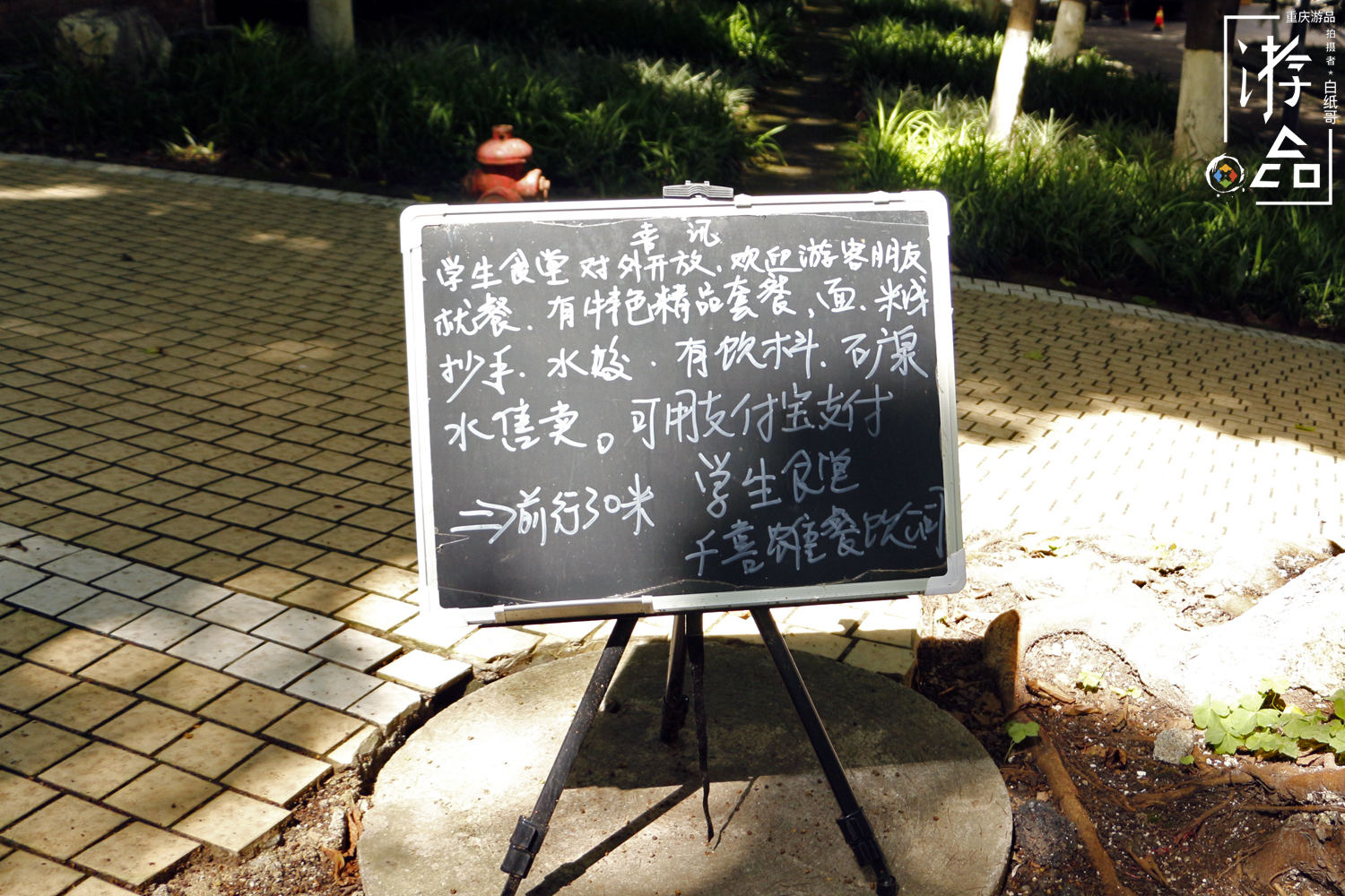 四川美术学院是四川的还是重庆的,四川美术学院是重庆还是四川的
