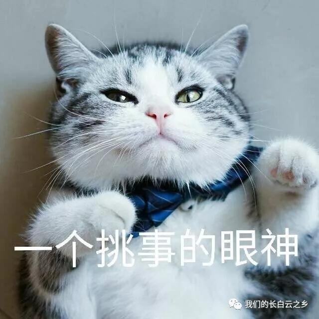 新西兰旅游打工签在哪个网站申请 (2022新西兰度假打工签证怎么抢)