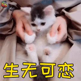 一直想买但是市面没有的东西,一直想买化妆品怎么办