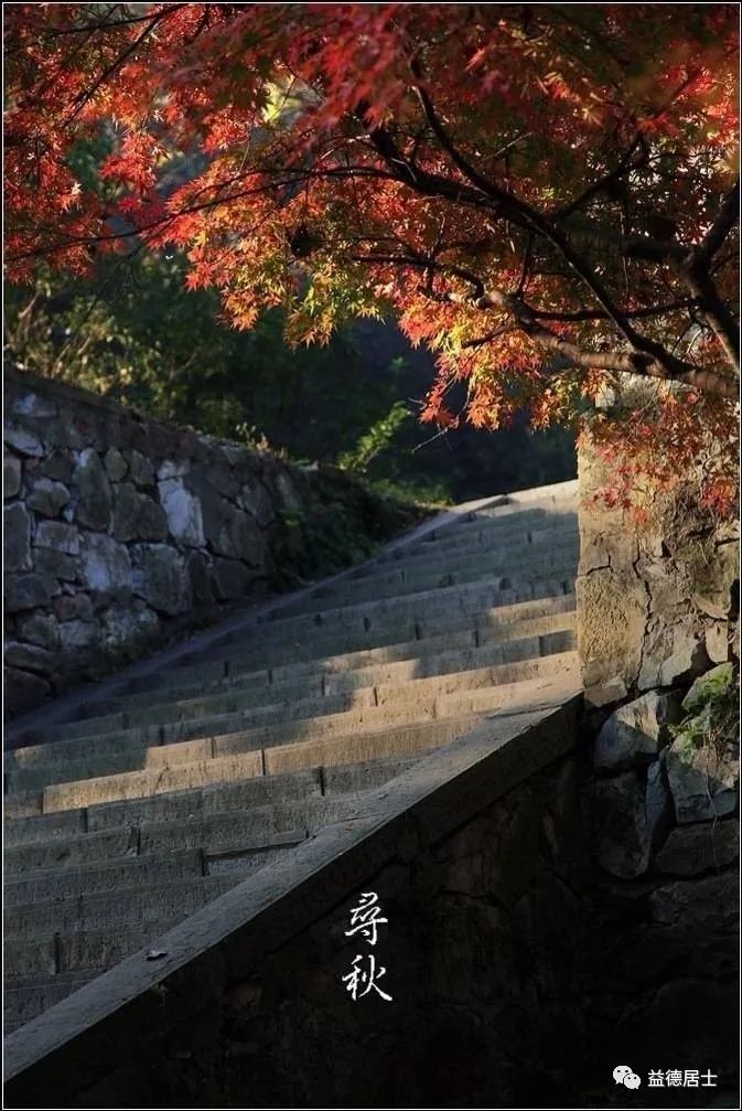 高粱立了秋再出穗还能熟吗,立了秋丢了扇全文的诗意是什么