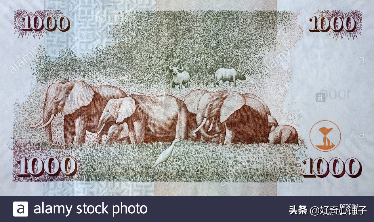 全球值得收藏的纸币,世界各国前五大超有趣纸币