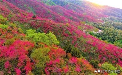 致敬中国英烈诗词,纪念先辈缅怀英烈的诗句