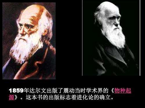 腋毛、阴毛和头发的用处是什么？为什么它们被保留下来了？