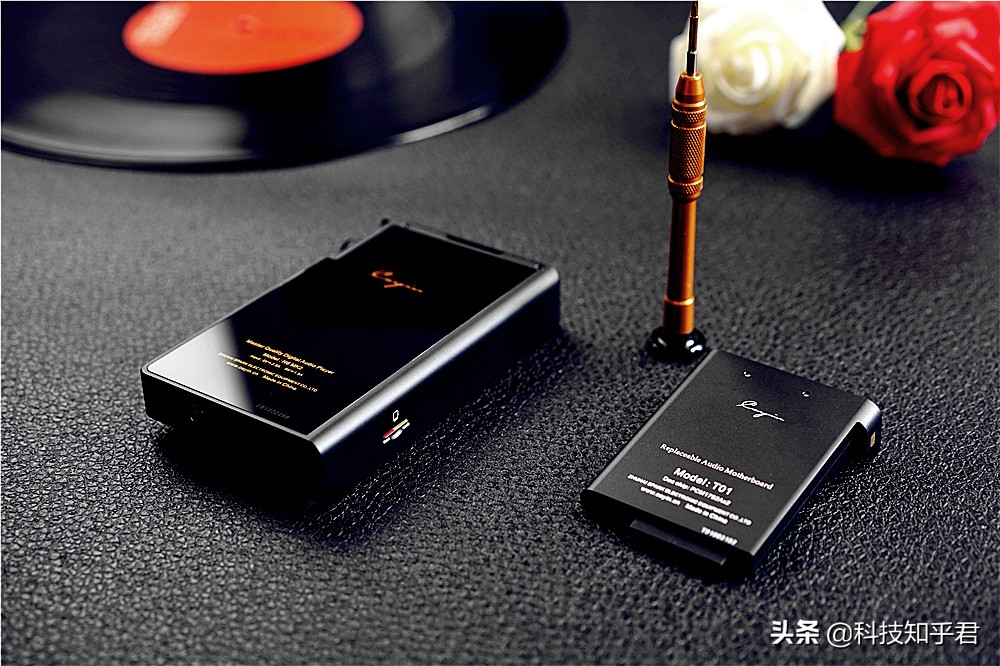 凯音n6ii对比金菊花哪个音质好,凯音n6ii与海贝r6pro对比