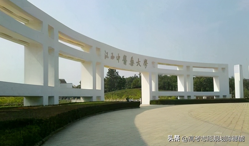 南方医科大学中医学科评估,中医学科排行榜前十名