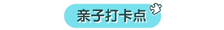 武汉旅游攻略来了一日游吃什么,武汉旅游攻略来了详细