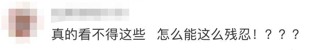 连踹四脚男子街头踢死小猫,男子虐待猫咪被学生暴打